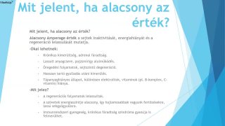 Synapse prezentáció rövid