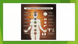 Császi András Mezőgazdaság hatása az endometriózisra