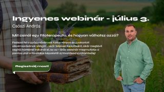 Mit csinál egy fitoterapeuta?