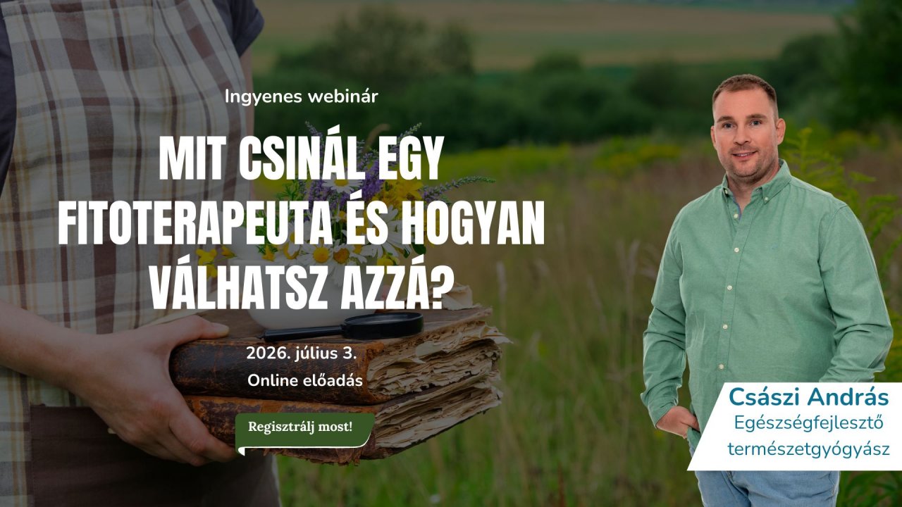 mit csinál egy fitoterapeuta