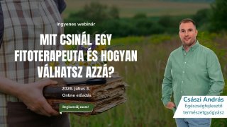 mit csinál egy fitoterapeuta