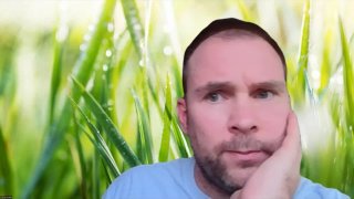INGYENES VTO havi Q&A